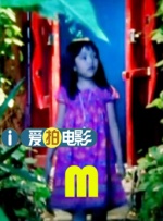 宠物女