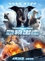 all瓷观影体