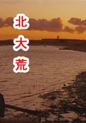 美女隐私无遮挡免费